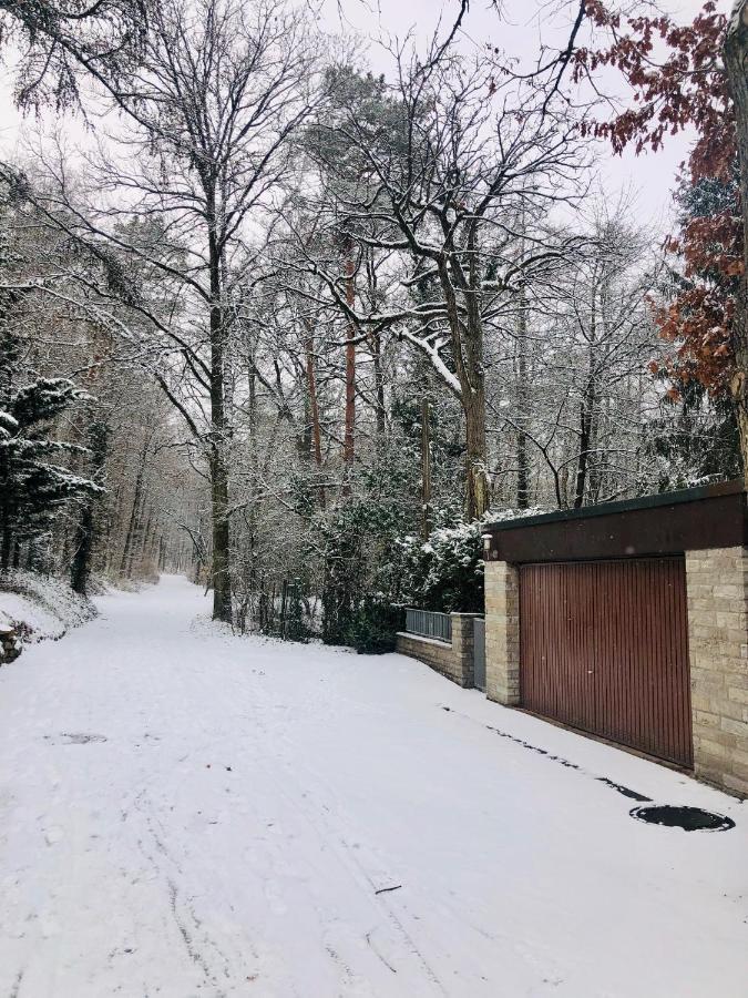 Large Wuerzburg Apartment Eksteriør bilde