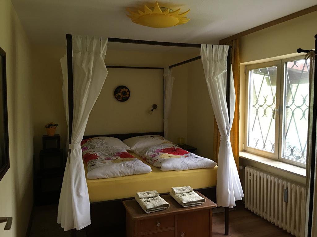Large Wuerzburg Apartment Eksteriør bilde